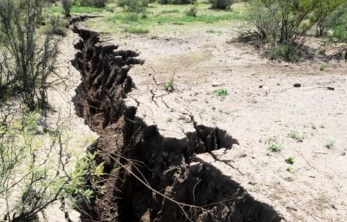 Impulsan en la UACH proyecto para restaurar suelos degradados en el desierto chihuahuense