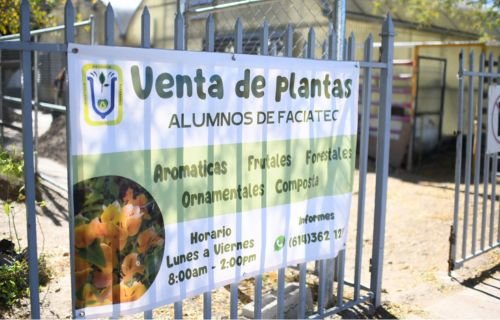 Entre aromas y colores, FACIATEC-UACH ofrece venta de plantas y servicio de jardinería en su vivero