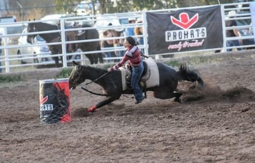 Todo un éxito el tradicional Rodeo en la Semana de Odontología