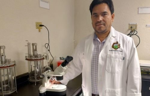 Especialista de la UACH explica los beneficios de la mosca estéril para el combate del gusano barrenador